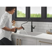 Delta 19868Lf Nicoli 1.8 GPM Single Hole Pull Down Kitchen Faucet - Matte Black /