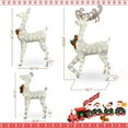 thumbnail image 4 of Cvortll 3-Piece Lighted Christmas Reindeer Family, Outdoor Indoor Christmas Decorations for Yards Garden Lawn Patio, Holiday Light up Decorations w/ 210 LED Lights, Stakes, Zip Ties, 4 of 9