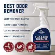 Rocco & Roxie Supply Co. Stain & Strong Odor Eliminator, Enzyme Cleaner, Pet Odor Eliminator for Home - Carpet Stain Remover for Cats & Dog Pee - Urine Destroyer - Carpet Cleaner Spray, 1-Gallon