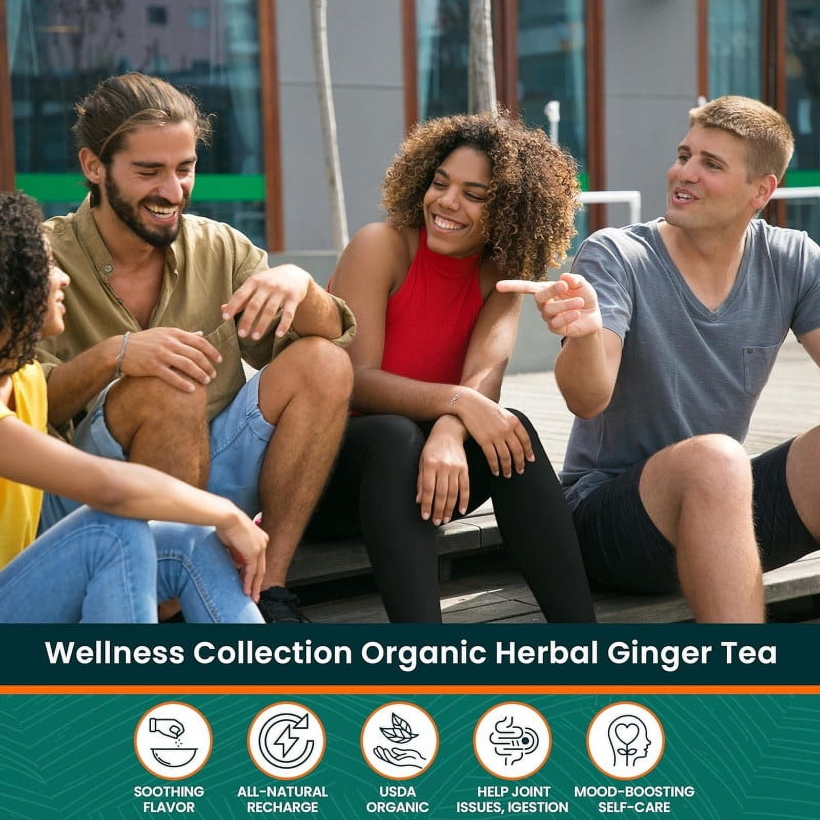Herbaly Wellness Collection Organic Herbal Ginger Tea, 70 g, 28 Count Bag (Pack of 1)