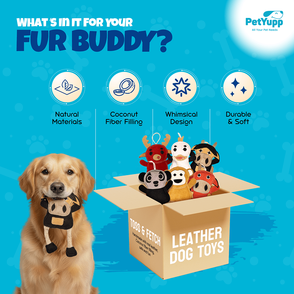 PetYupp 6 Assorted Leather Dog Toys for Small Dogs & Puppies – Natural Leather Chew Toys w/Coconut Fiber Filling & Jute Rope – Eco-Friendly, Non-Toxic, Durable Play Set for Teething & Light Chewers