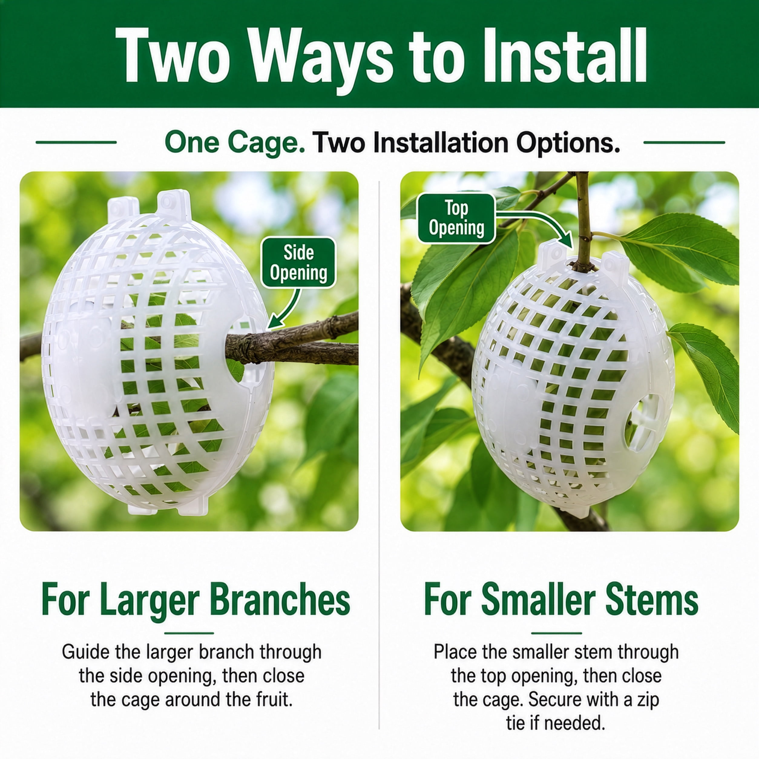Rooted Promise 12 Pack Small Fruit Protection Cages 4 x 5 inch, Perfect for protecting fruit trees - Made in the USA