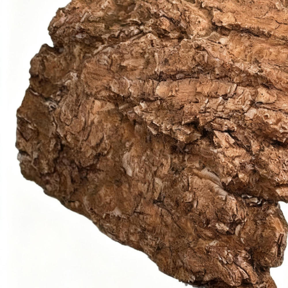 Ksruee Toad House Resin Cave Shelter Tortoise Shelter for Bearded Dragon Leopard Turtle Frog Geckos Reptiles Amphibians Aquarium Tank everybody