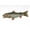 Rainbow, variant on Rainbow Trout - 10 inch Cabin Critters Stuffed Animal - Freshwater Fish Collection