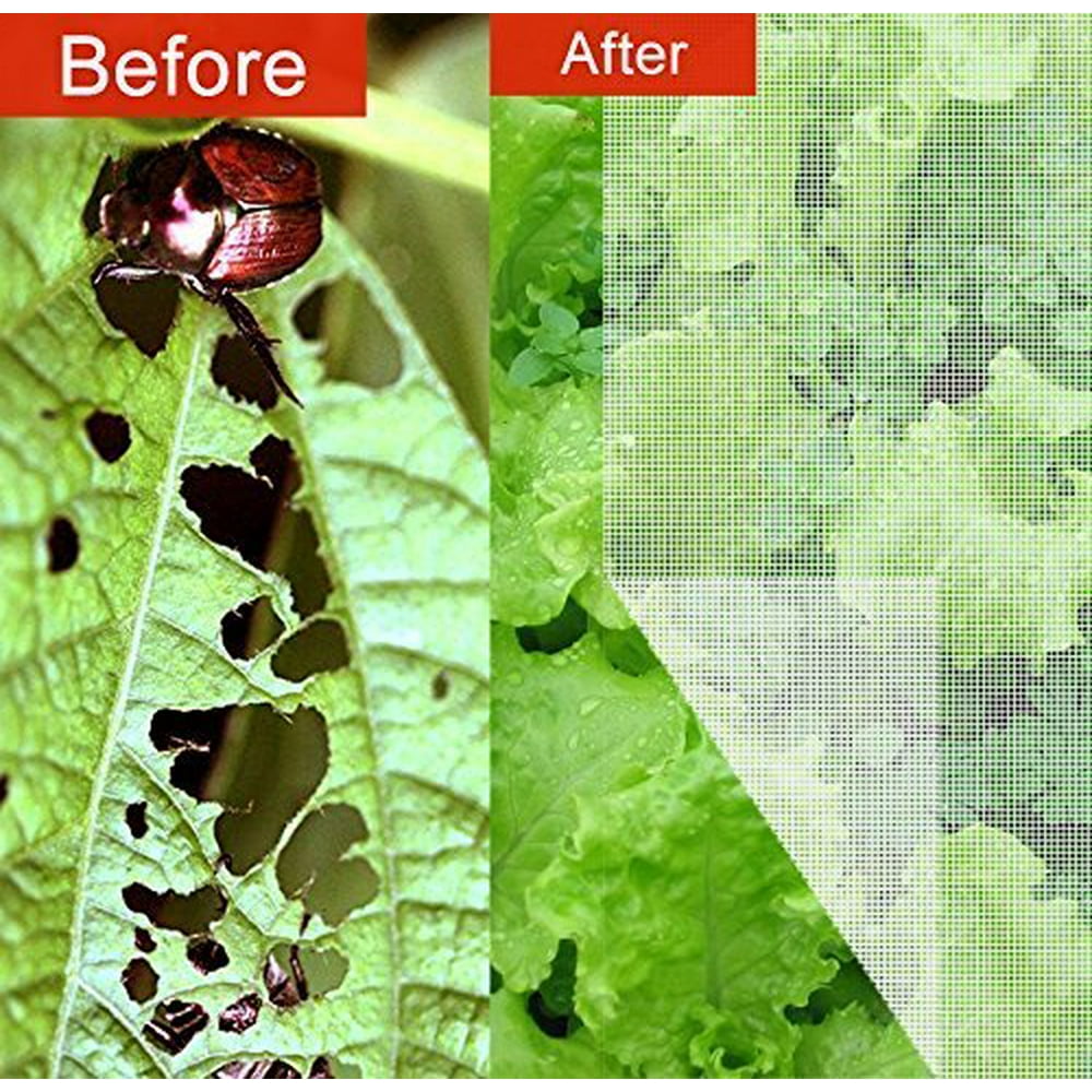 Agfabric Standard Insect Screen & Garden Netting Against Bugs, Birds