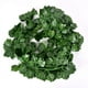 thumbnail image 4 of Planta de hojas de 80 hojas, tira pequeña, simulación de hojas de ratán, hojas verdes, enredadera de simulación, enredadera decorativa, hojas de enredadera, 4 of 4