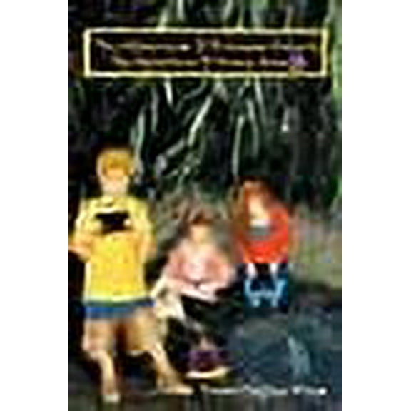 The Adventures of Princess Amberly (Paperback)