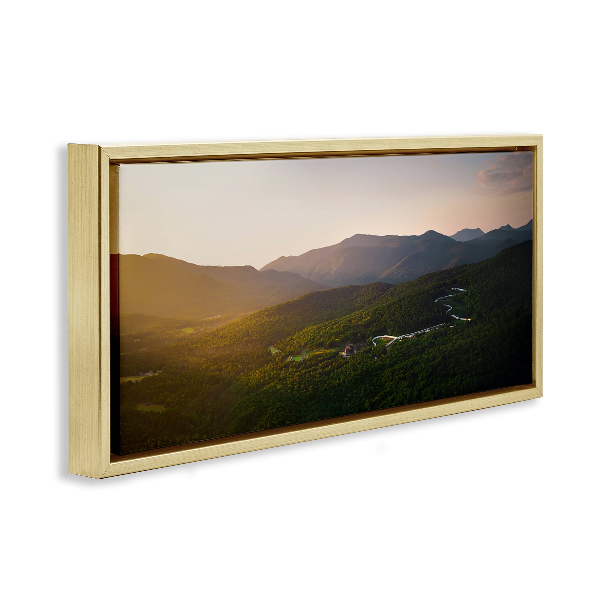 Stupell Industries Winding Road Through Forested Mountains Gold Framed Floater Canvas Wall Art, design by Jonathan Zaharek