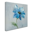 thumbnail image 2 of Trademark Fine Art 'Floral Bloom I v2' Canvas Art by Danhui Nai, 2 of 3