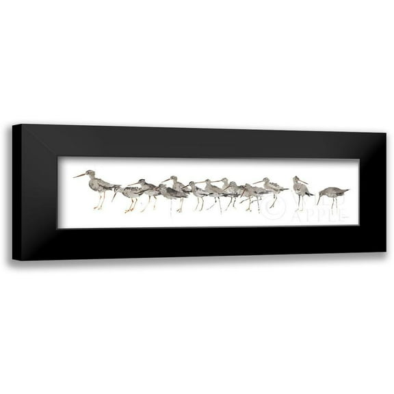 Tillmon, Avery 14x7 Black Modern Framed Museum Art Print Titled - Watercolor Sandpiper Panel Gray