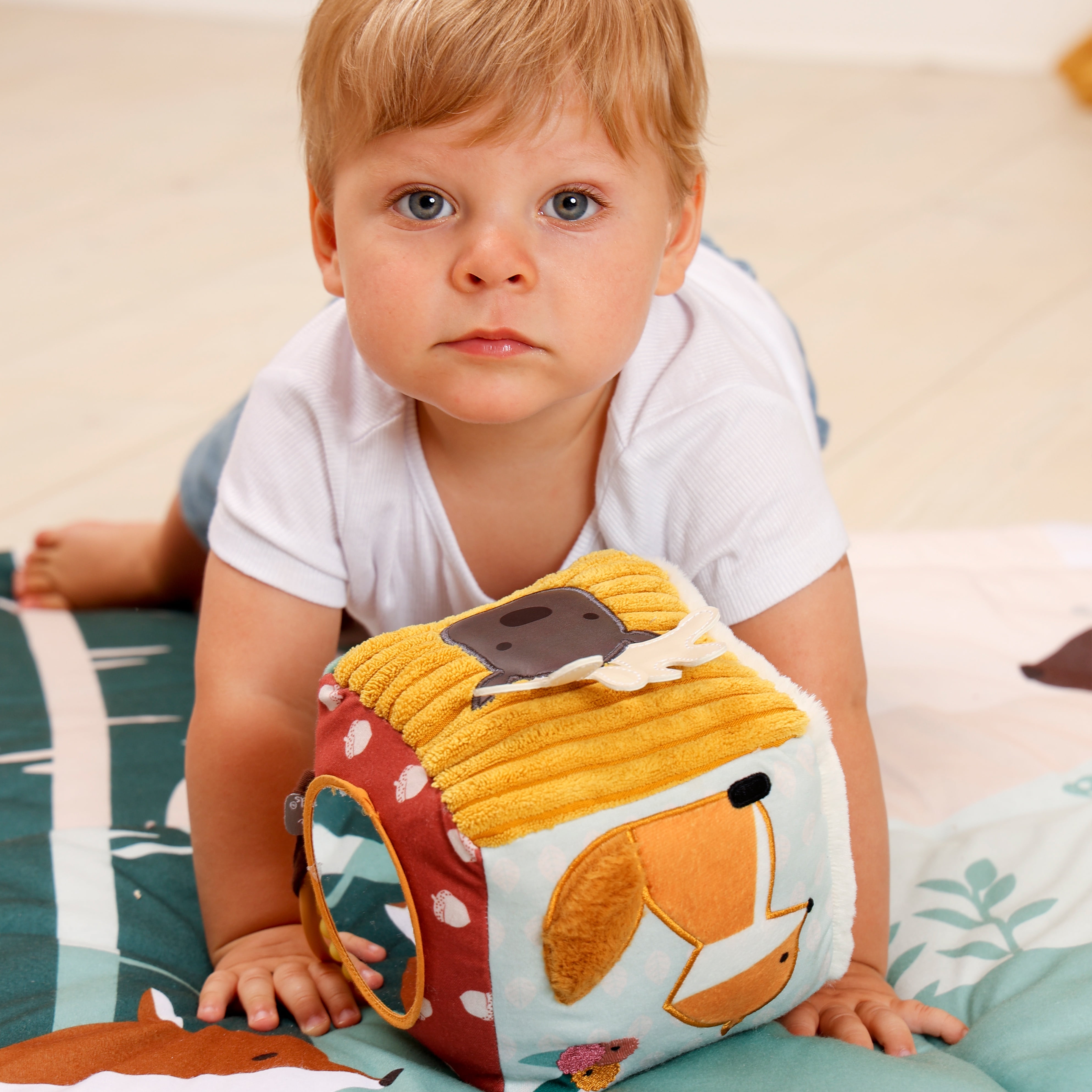 Little Big Friends Soft Activity Cube Sensory Toy for Infants & Toddlers in Forest Theme