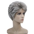 thumbnail image 1 of Perruques Courtes Bouclées de Haute Qualité pour Femmes, Perruque Ondulée Synthétique Sans Capuchon (48T Gris Pâle avec Racine Foncée) 48T Gris Pâle avec Racine Foncée - Convient à une Variété d'Exigences de Jardinage, 1 of 4