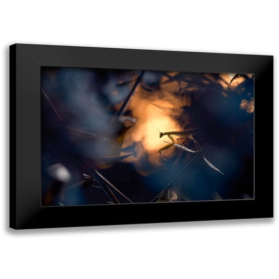 Bravin, Fabien 24x17 Black Modern Framed Museum Art Print Titled - Wormhole Distorsion