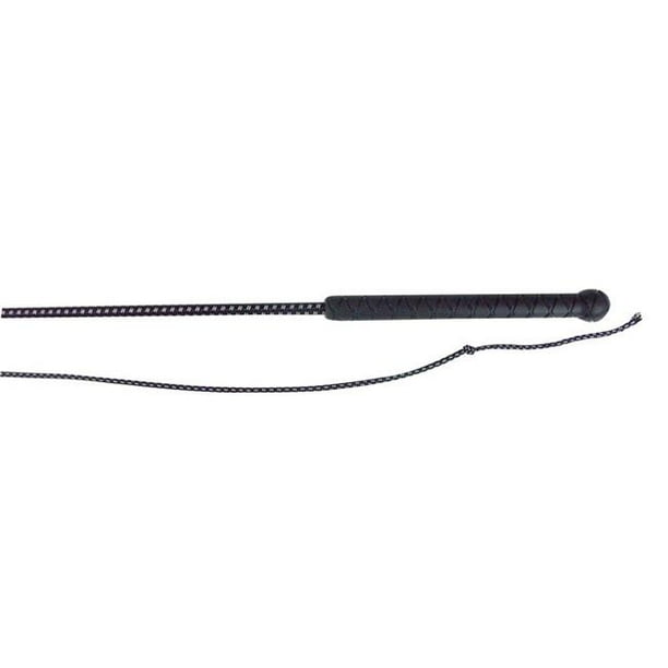 Intrepid International 106262R 40 in. Miniature Horse Lunge Whip