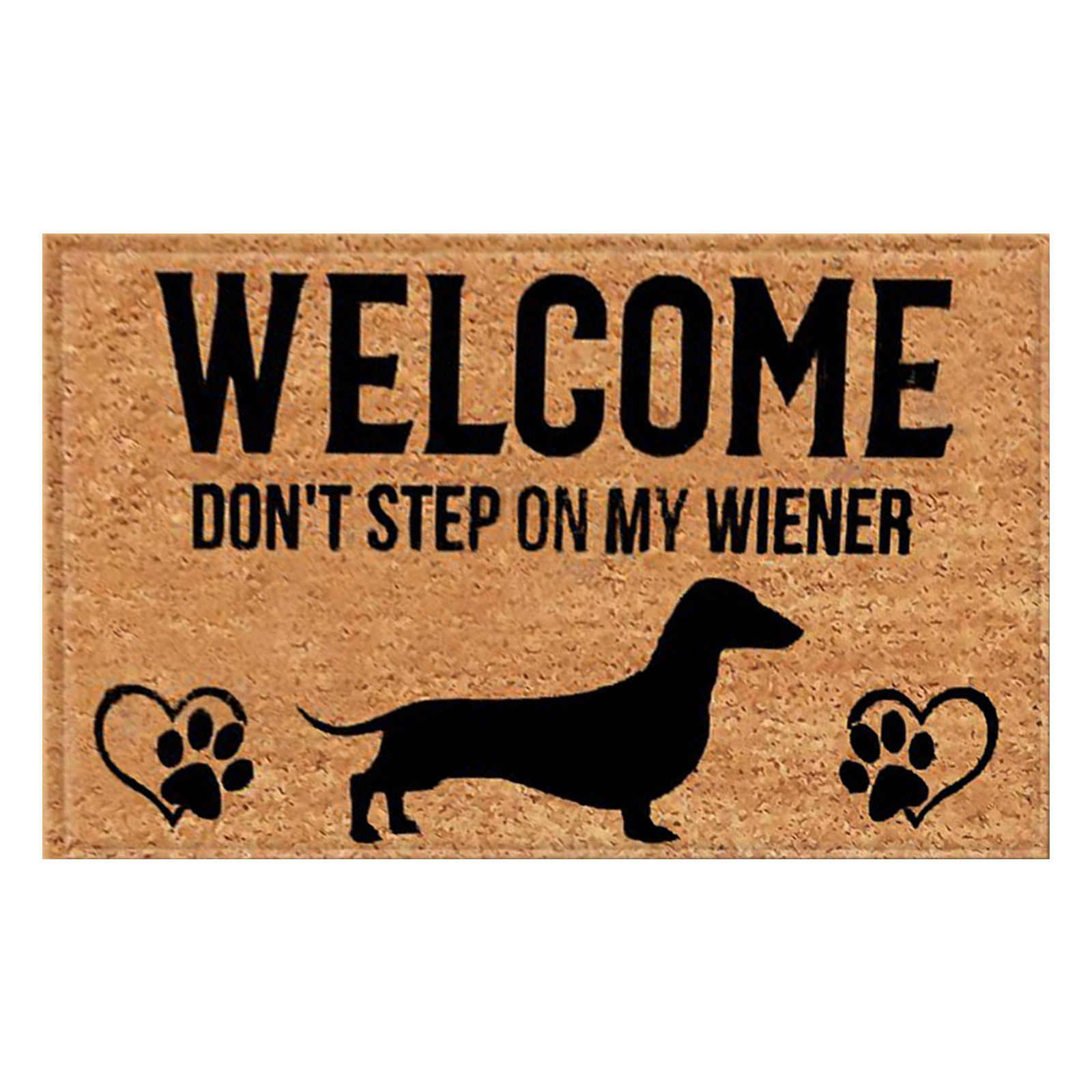 Indoor Door Mat Funny Doormat Wipe Your Paws Dog Door Mat Muddy Mats