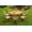 Brown, variant on Grade-A Teak Dining Set: 3 Seater 4 Pc: 60" Round Table And 3 Mas Stacking Arm Chairs Outdoor Patio WholesaleTeak #WMDSMSy