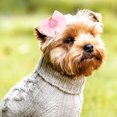 thumbnail image 4 of Moluckfu 20Ud Pet Hairbands Para Perros Con Reusable Y, 4 of 6