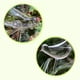 thumbnail image 1 of Bombillas para riego de plantas, estacas de vidrio con autorriego, globo de agua para jardín, Patio, macetas colgantes Jadeshay  A, 1 of 7