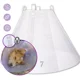 thumbnail image 1 of Collar Isabelino Talla 7 (30cm) Trasparente Y Ergonomico, 1 of 4