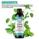 thumbnail image 2 of Coconut Pulling Oil for Fresh Breath and Oral Health, Teeth and Gums Mouthwash, Mint Oil Pulling Mouthwash with Tongue Scraper for Teeth Whitening Alc, 2 of 5