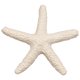 thumbnail image 2 of 15 Piezas De Color Cremoso Lápiz Estrellas Mar Para Decoración Bodas, Del Hogar y Proyectos, 2 of 9