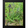 thumbnail image 2 of Van Gogh, Vincent 12x14 Black Modern Framed Museum Art Print Titled - The Iris, 2 of 5