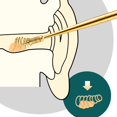 thumbnail image 2 of Household Ear Pis Creative Flexible Spring Long Golden Piing Tool Lot S, 2 of 9