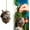 1pcs Rabbit#002, variant on Forest Animal Acorn Ornaments – Cozy Forest Christmas Ornaments, 2026 New Pine Cone Animal Decoration, Woodland Creature Figurine, 2D Acrylic Hanging Ornament Home Party Décor(Mixed)