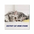 thumbnail image 4 of Urine Destroyer Citrus, 32 oz Spray Bottle, 6/Carton, 4 of 7