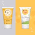 Burt's Bees Baby 2in1 Diaper Cream and Powder with Shea Butter