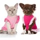 thumbnail image 2 of piezas de camisa de vestir para mascotas, falda de cachorro, lindo vestido para perros, ropa de verano para mascotas, ropa para perros pequeños y gatos Ormromra WMZL-2068-12, 2 of 7