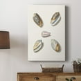 thumbnail image 5 of Pastel Knorr Shells III Premium Gallery Wrapped Canvas - Ready to Hang, 5 of 9
