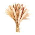 thumbnail image 2 of Dongrere Natural Dried Pampas Grass Bouquet, Neutral Toned Dried Floral, Phragmites Dried Flowers for Home, Wedding Centerpieces, Farmhouse Vases, 15" - 17", 2 of 6