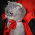 thumbnail image 4 of Capa Para Perro Disfraces De Halloween Para Mascotas Capa Para Gato Disfraz De Bruja Para Perros Pequeños Y Medianos Gatos Cachorros Disfraz Divertido De Cosplay Para Perros Disfraz, 4 of 7