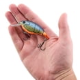 thumbnail image 5 of Berkley Shallow Money Badger Fishing Crankbait, 2.6 in, Hybrid Baitfish-Crayfish, 5 of 6