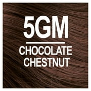 Naturtint 5GM Chocolate Chestnut Permanent Hair Color, 1 Pack (Packaging May Vary)