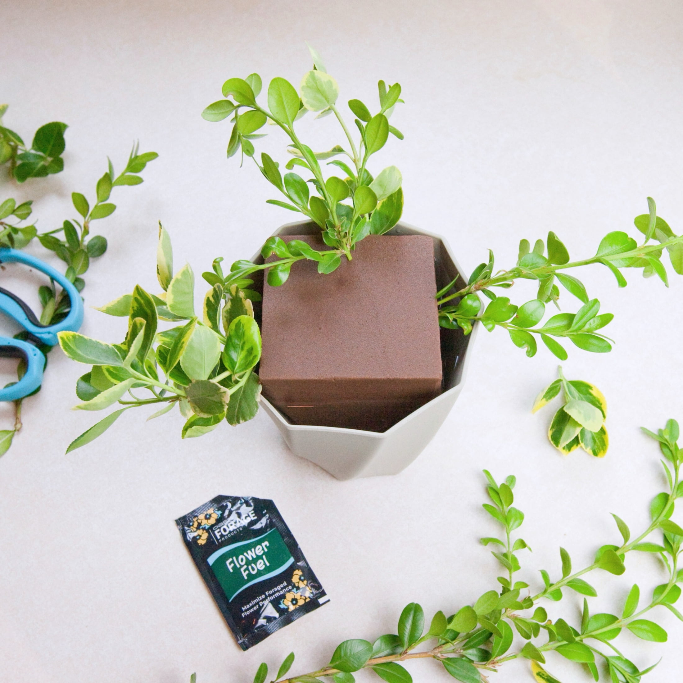 OASIS® Forage The Twist Pot Floral Foam DIY Arrangement Kit, Eggshell Flower Pot