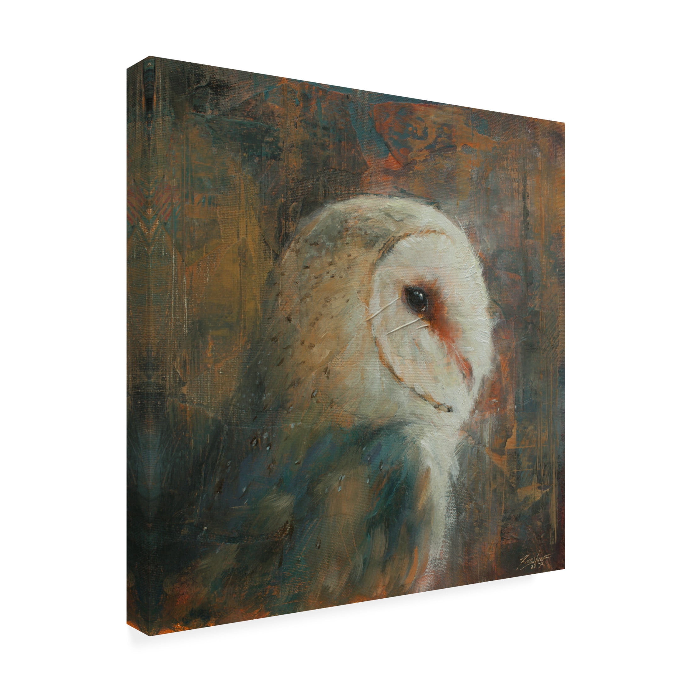 Canvas Wall Art - John Silver 'Barn Owl 1' Wall Art for Living Room, Bedroom, or Office Décor by Trademark Fine Art - 14 x 14 Inches