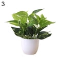 thumbnail image 1 of 2 Pcs Fresh Artificial Foliage Plant Potted Bonsai Wedding Party Mall Desktop Decor(Type 2), 1 of 9