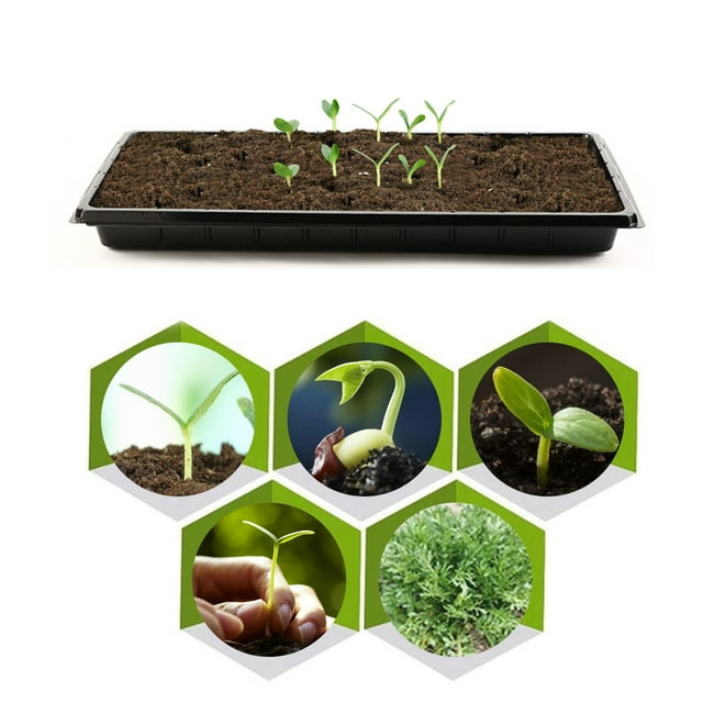 Gardening Planter, Strong Seed Starting Plant Growing Trays (Without Holes) - Durable, Reusable, Seed Disseminators