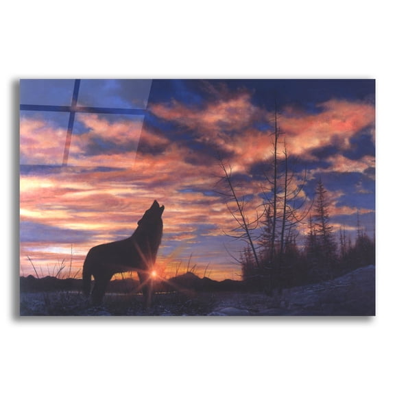 Epic Art 'Sky Wolf' by Bill Makinson, Acrylic Glass Wall Art, 16"x12"