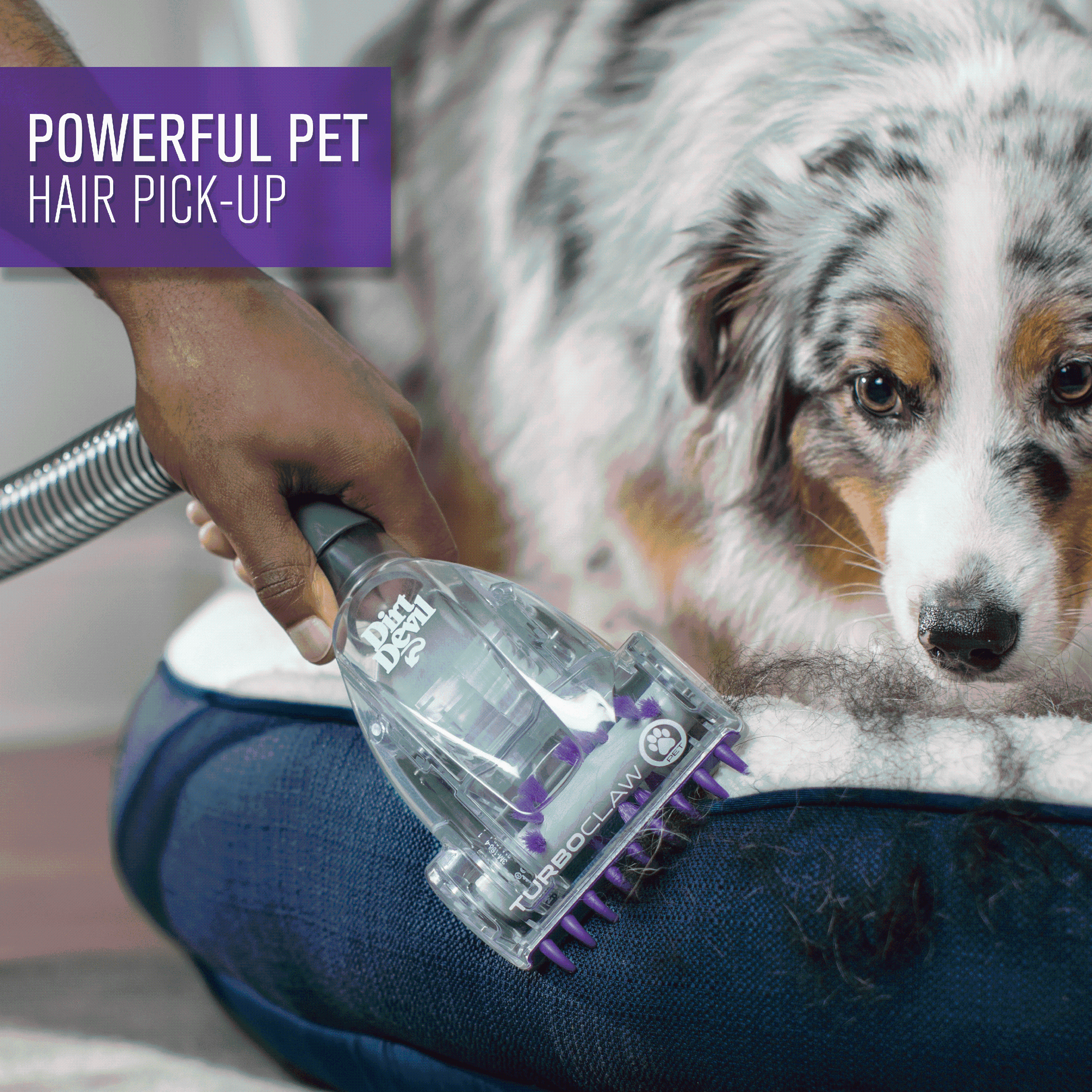 Dirt Devil Power Max Rewind Pet Bagless Upright Vacuum Cleaner, UD70187