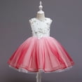 thumbnail image 2 of Fesfesfes Toddler Kid Girl Sleeveless Tulle Dress Lace Princess Gown Party Dress Cosplay Clothes Under 10$, 2 of 9