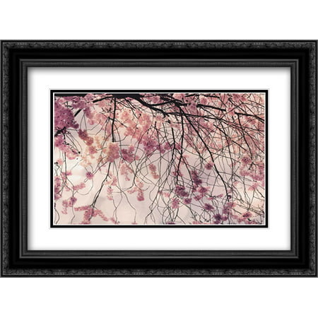 Spring Song 2x Matted 24x18 Black Ornate Framed Art Print by Weisz,