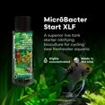 thumbnail image 2 of Tratamiento de Agua para Acuarios Brightwell Aquatics MicroBacter Start XLF 125 ml, 2 of 6