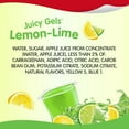 Snack Pack Lemon Lime Flavored Juicy Gels, Super Size, 6 Count Snack