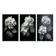 thumbnail image 2 of Designart "Monochrome Elegance in Blooming Hydrangeas III" Floral Wall Art Set Of 3 - Black Floral Gallery Set For Office Decor, 2 of 7