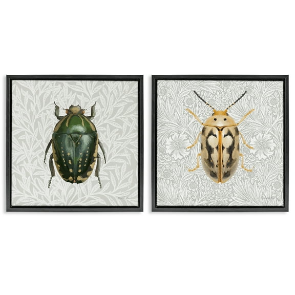 Stupell Industries Beetle Insect Portrait Animals Painting Black Floater Framed Canvas Art Print Wall Art, 18 x 18, Set of 2