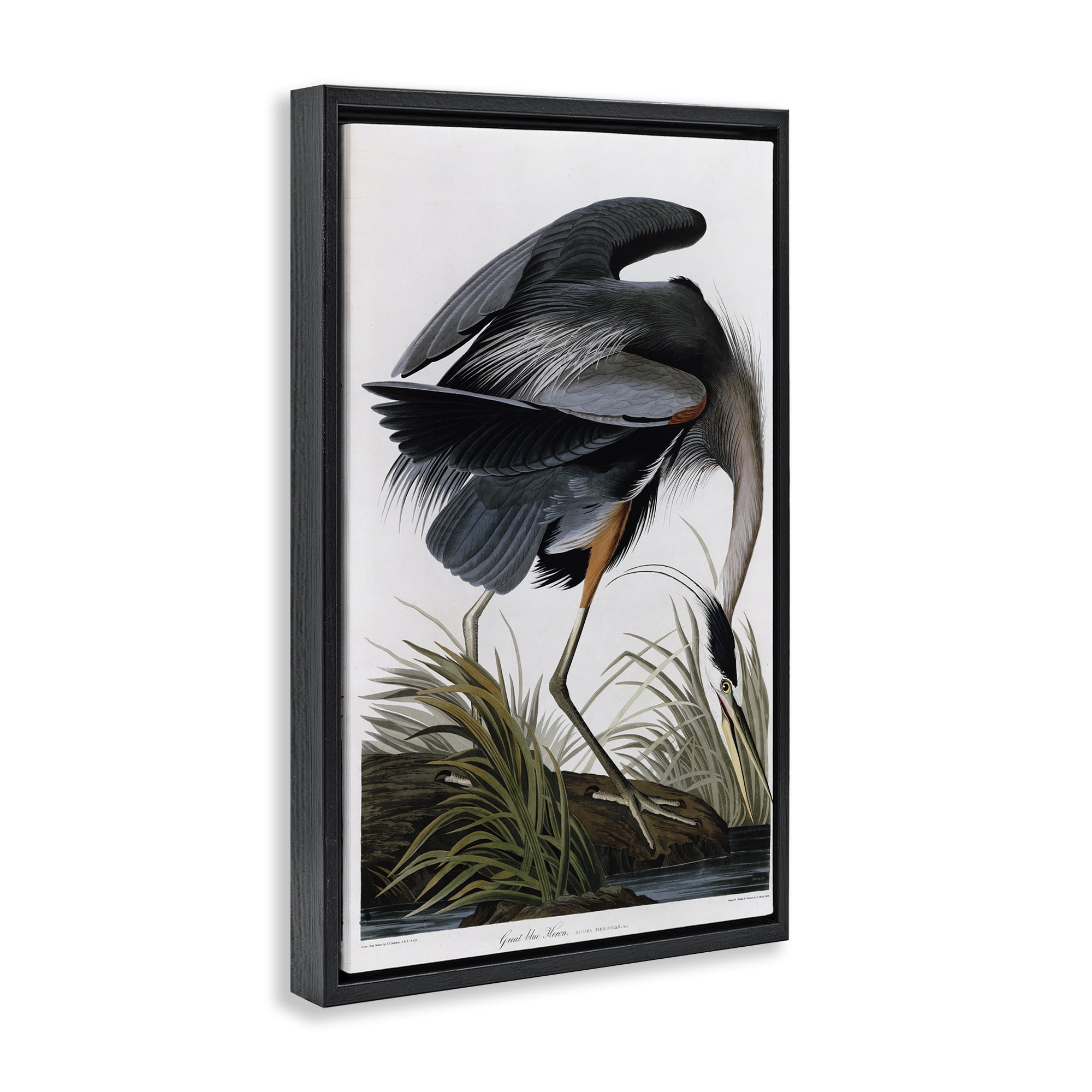 Stupell Industries Classic Heron at Lake Animals & Insects Painting Black Floater Framed Canvas Art Print Wall Art, 21 x 31