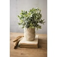 thumbnail image 2 of Artificial Sage With Criss Cross Rustic White Pot, 2 of 3
